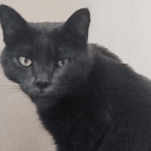 Fundraising Page: Michael Kukuchka